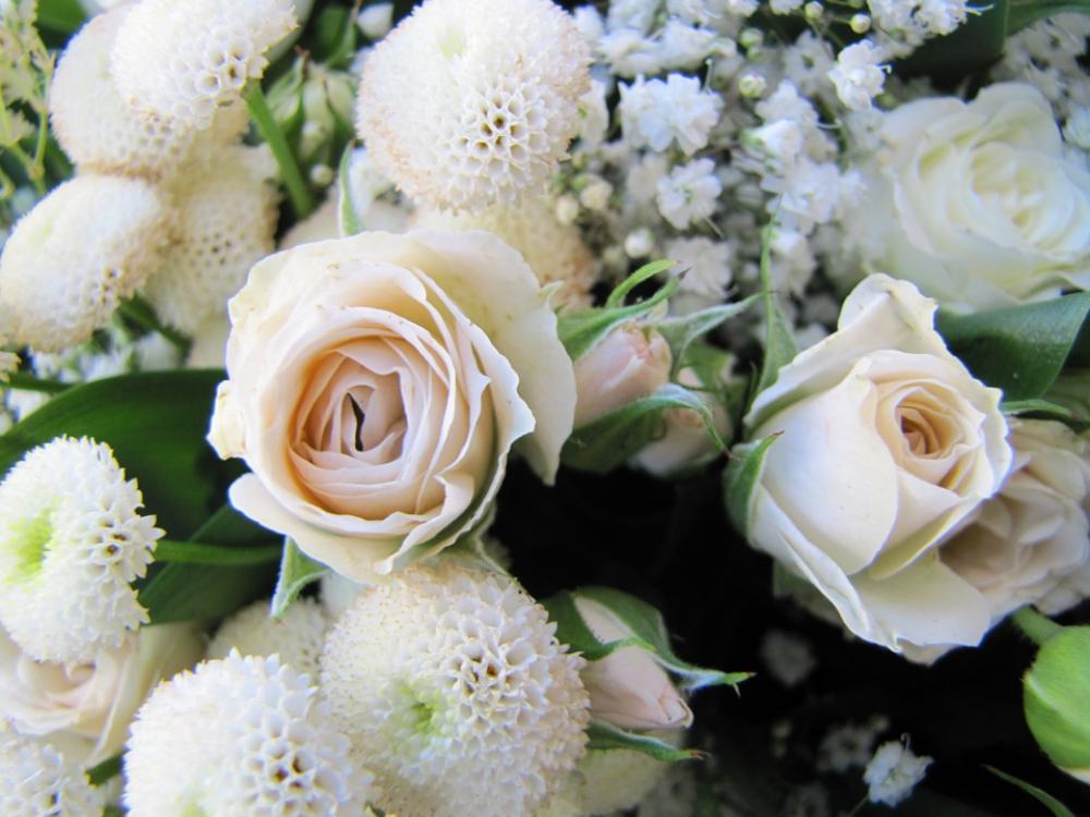Flower Rose Green White Flower Rose Green White