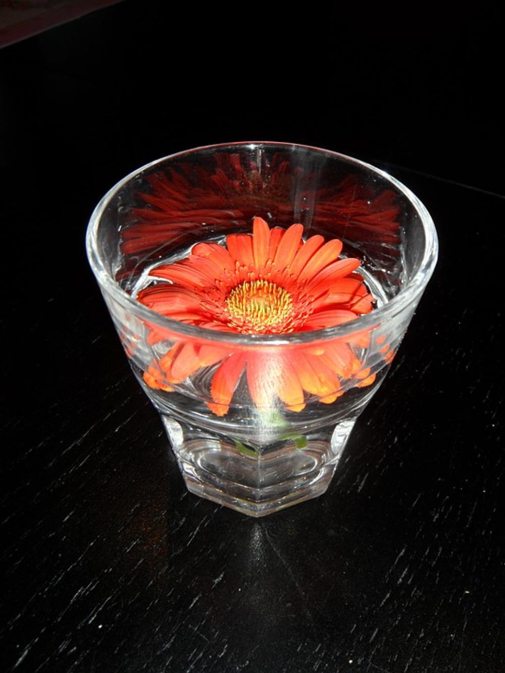 Flower Orange Orange Flower Glass Decoration Flower Orange Orange Flower Glass Decoration