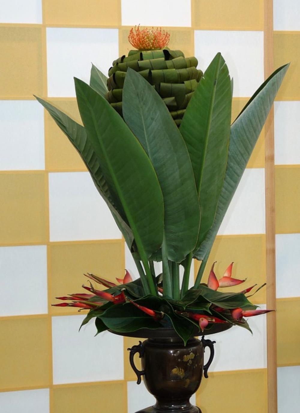 Flower Plant Arrangement Flora Decoration Flower Plant Arrangement Flora Decoration