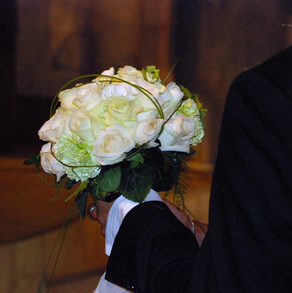 Flower Hands Giving Give Gift Take Rose Roses Flower Hands Giving Give Gift Take Rose Roses