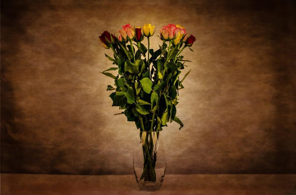 Flower Flowers Rose Art Dark Black White Flower Flowers Rose Art Dark Black White