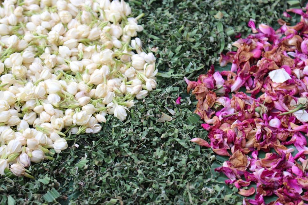 Flowers Buds Flower Bud Flower Design Pattern Flowers Buds Flower Bud Flower Design Pattern