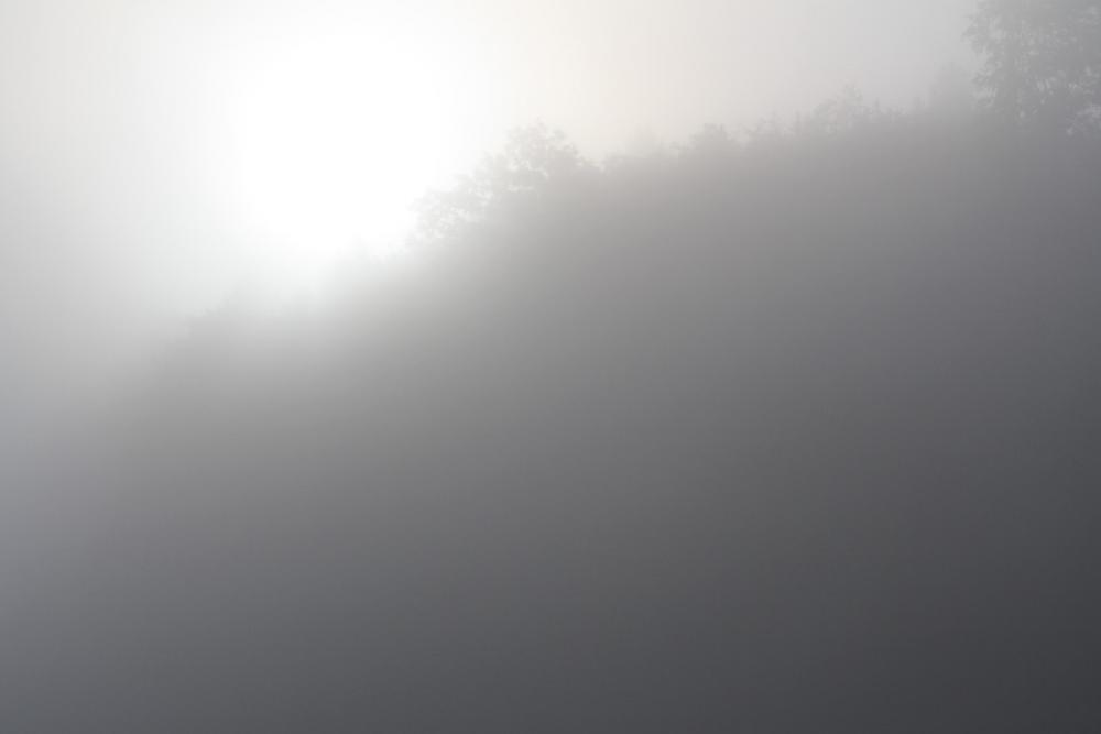 Fog Morning Sun Veil Foggy Fog Morning Sun Veil Foggy