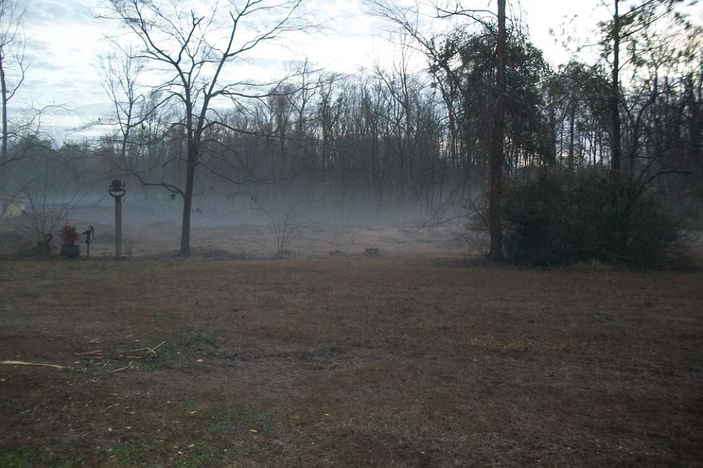 Foggy Morning Fog Foggy Landscape Mist Morning Foggy Morning Fog Foggy Landscape Mist Morning