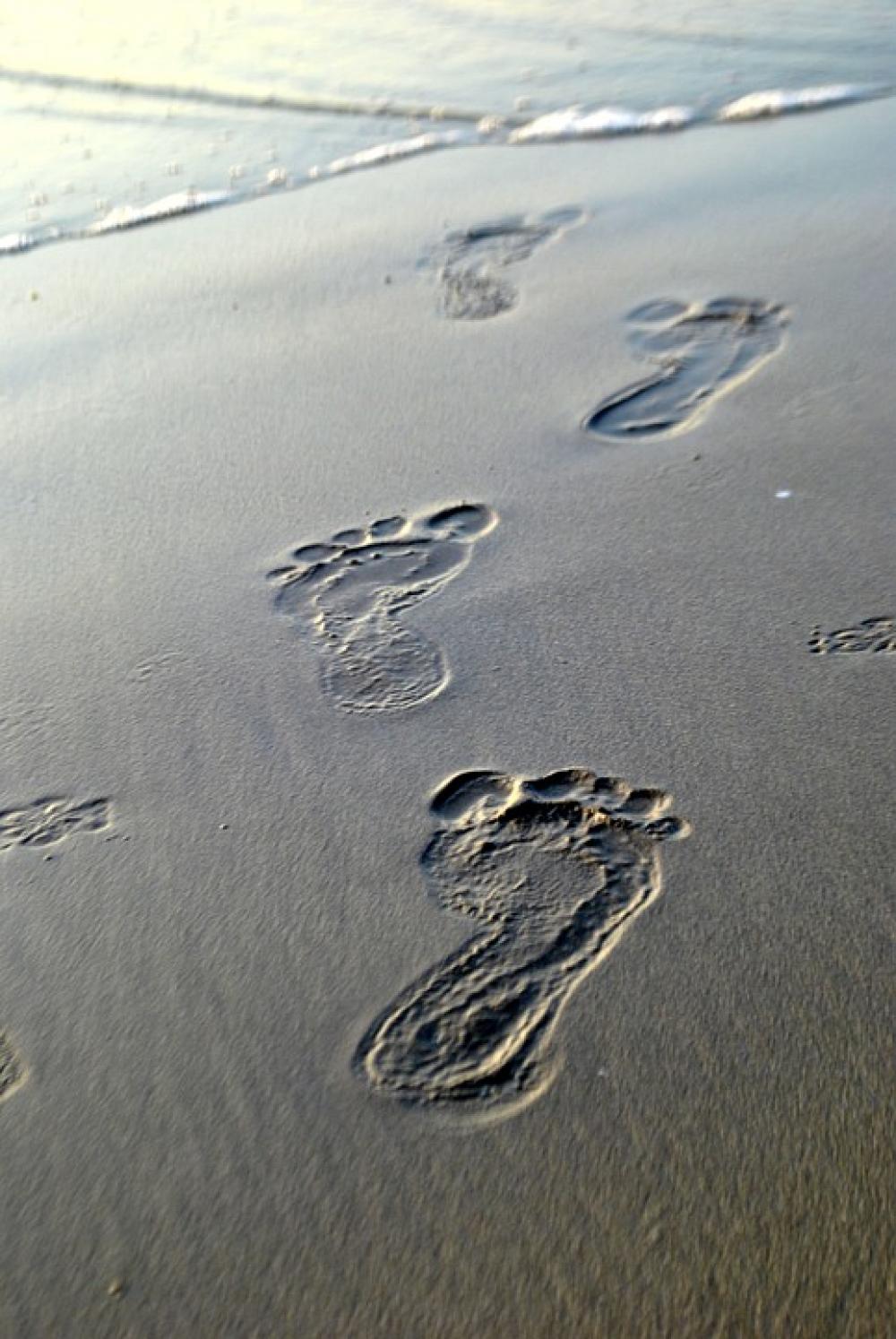 Footsteps Sand Traces Barefoot Footprint Beach Footsteps Sand Traces Barefoot Footprint Beach
