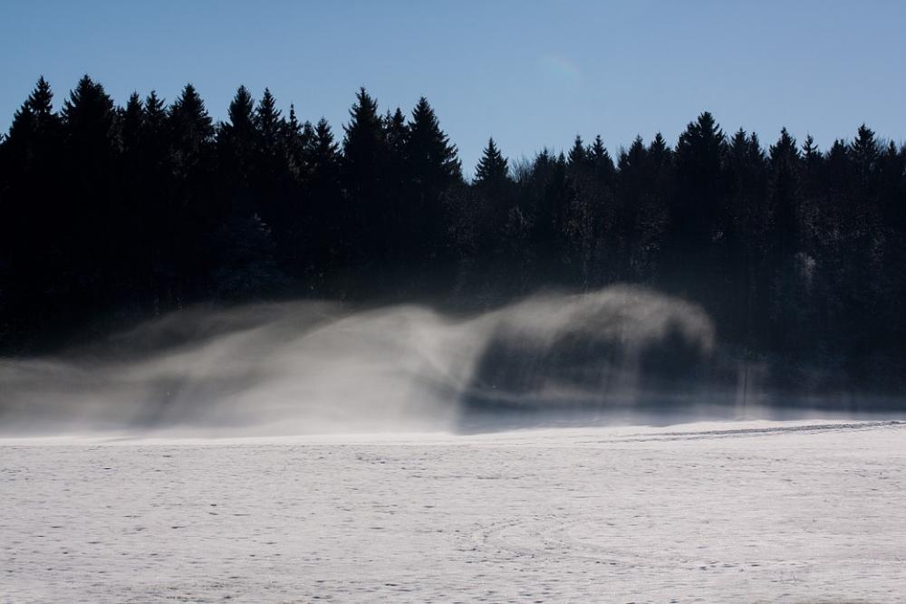 Forest Fir Forest Fog Resolution Scan Snow Shadow Forest Fir Forest Fog Resolution Scan Snow Shadow