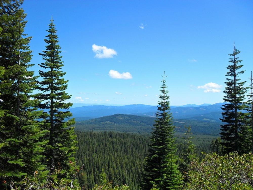 Forest Sky Green Blue Hills Beauty Tranquil Forest Sky Green Blue Hills Beauty Tranquil