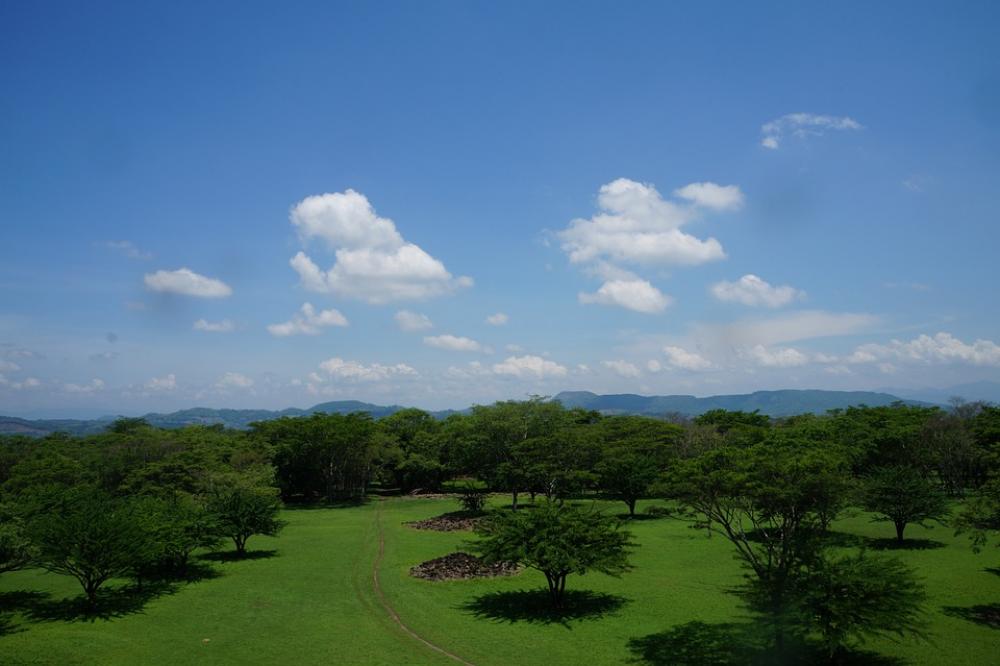 Forest Landscape Clouds Sky Trees Nature Forest Landscape Clouds Sky Trees Nature