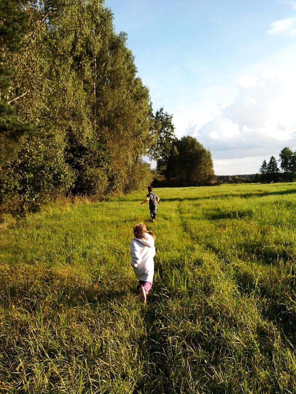 Forest Meadow Grass Green Child Forest Meadow Grass Green Child