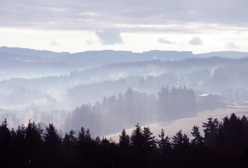 Forest Pine Nature Wood Mountains Trees Landscape Forest Pine Nature Wood Mountains Trees Landscape