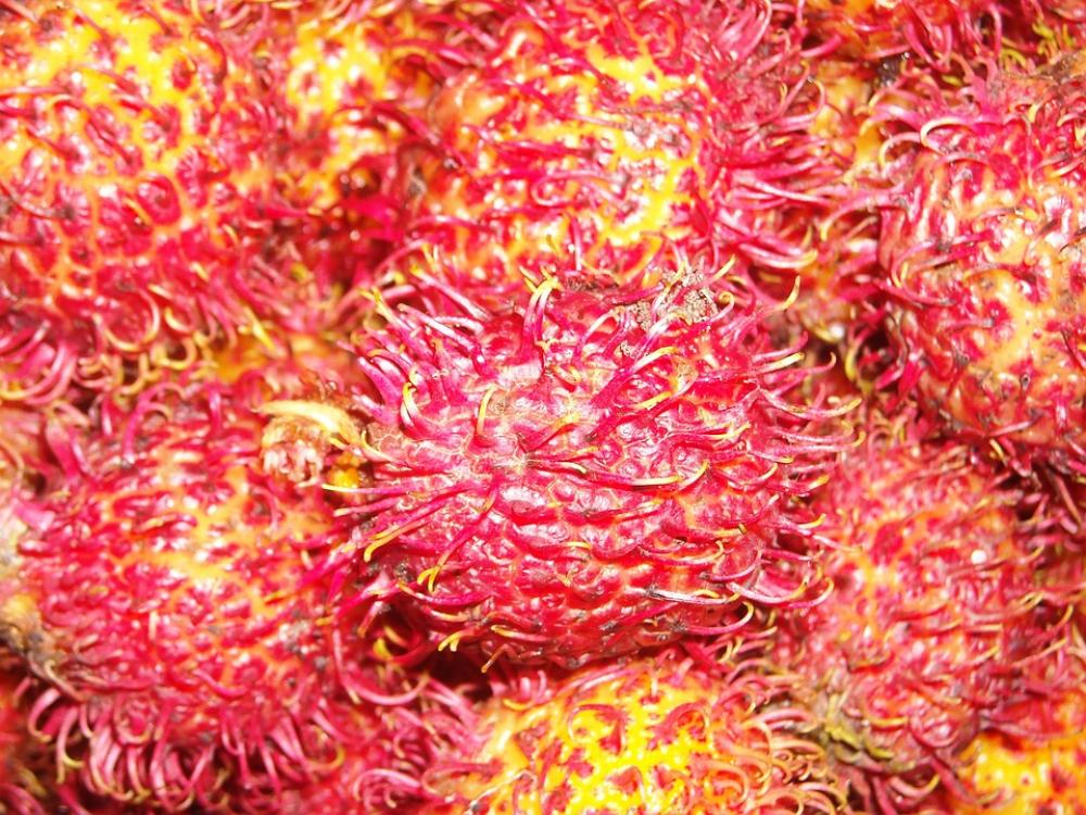 Fruit Rambutan Red Yellow Fruit Rambutan Red Yellow