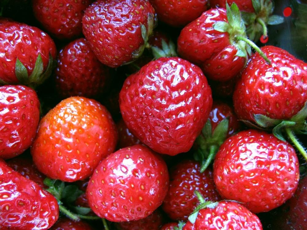 Fruit Spring Strawberry Fruit Spring Strawberry