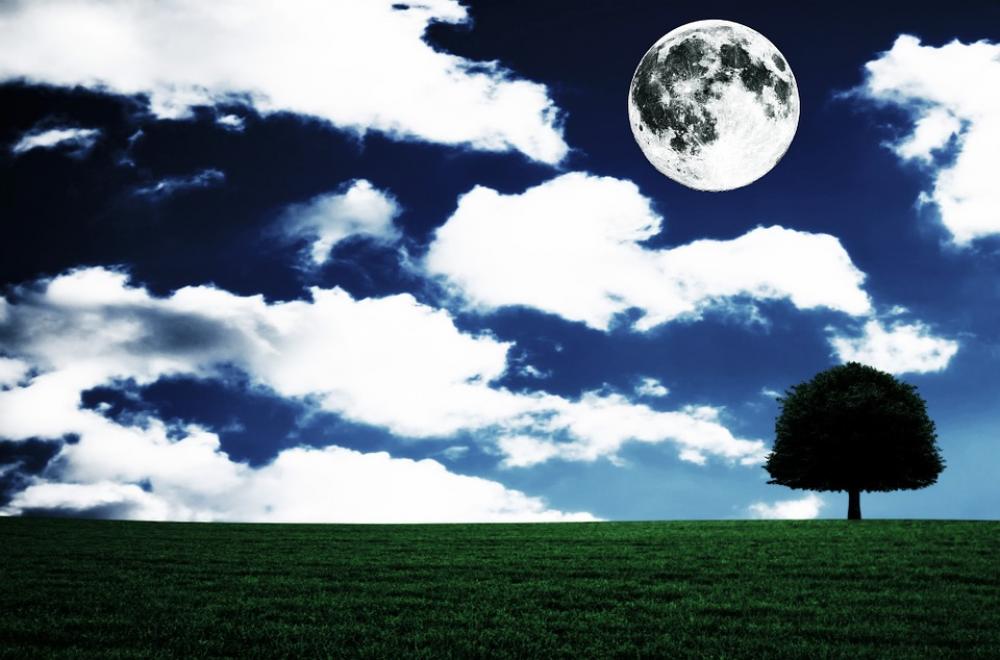 Full Moon Landscape Fantasia Tree Full Moon Landscape Fantasia Tree
