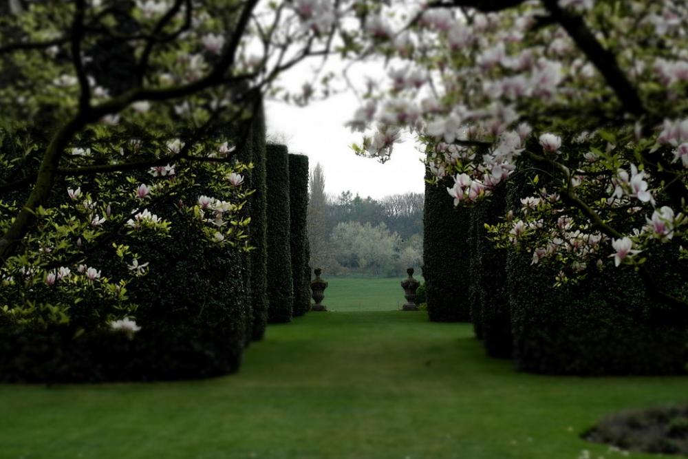Garden Classical Garden Magnolia Walled Pathway Garden Classical Garden Magnolia Walled Pathway