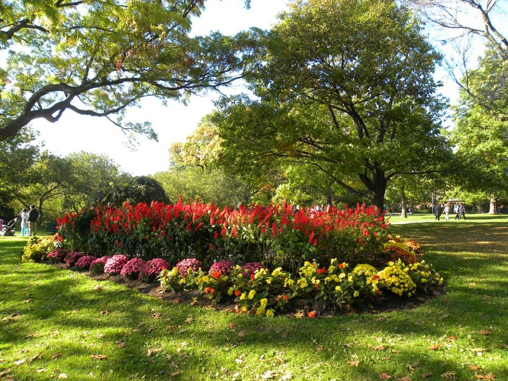 Garden Flowers Landscape Park Nature Trees Green Garden Flowers Landscape Park Nature Trees Green