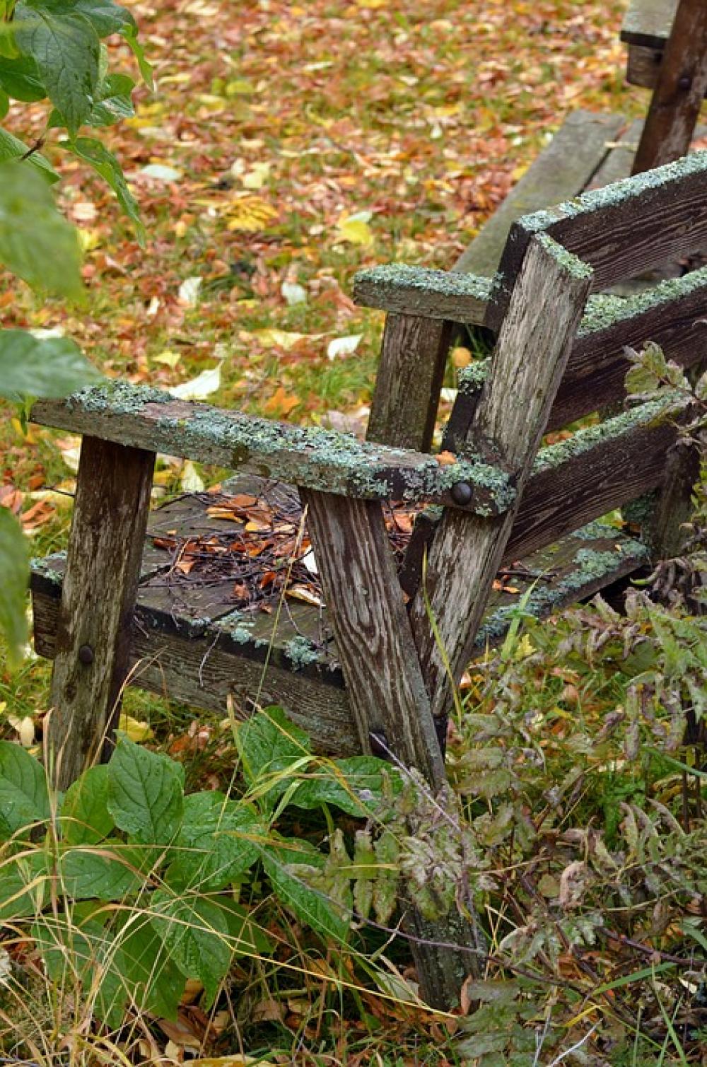 Garden Furniture Autumn Old Debris Garden Furniture Autumn Old Debris