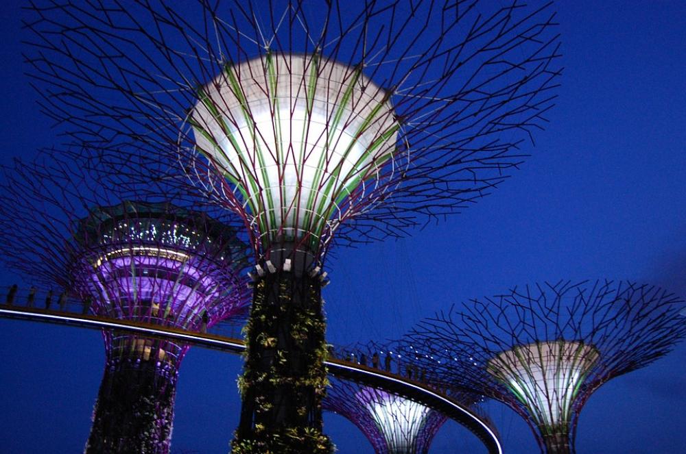 Gardens By The Bay Marina Bay Singapore Gardens Bay Gardens By The Bay Marina Bay Singapore Gardens Bay