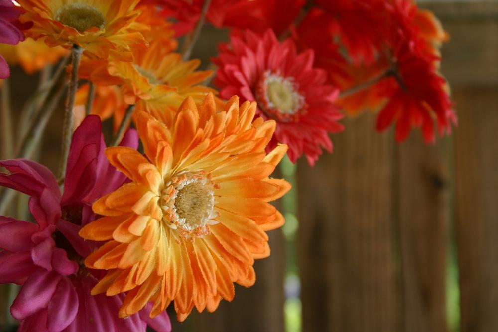 Gerber Gerber Daisy Bouquet Pink Orange Flowers Gerber Gerber Daisy Bouquet Pink Orange Flowers