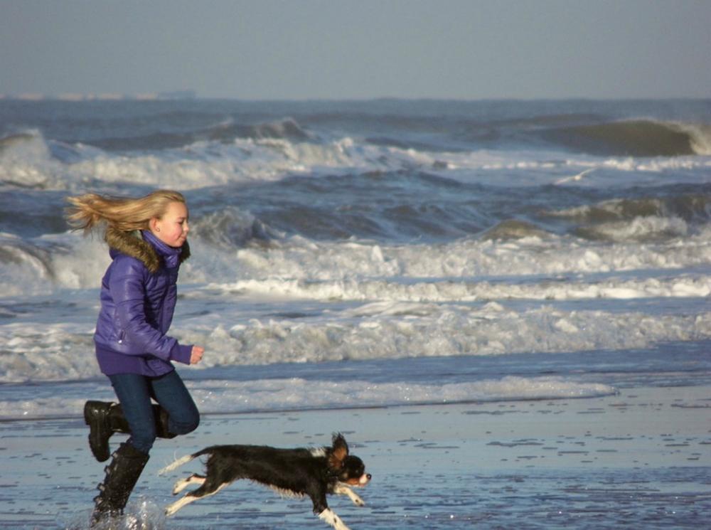 Girl Dog Sea Beach Zandvoort Race Play Girl Dog Sea Beach Zandvoort Race Play