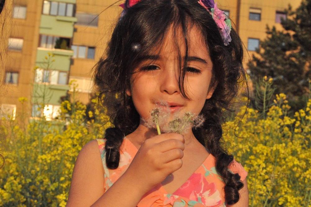 Girl Dandelion Nature Flower Blow Girl Dandelion Nature Flower Blow