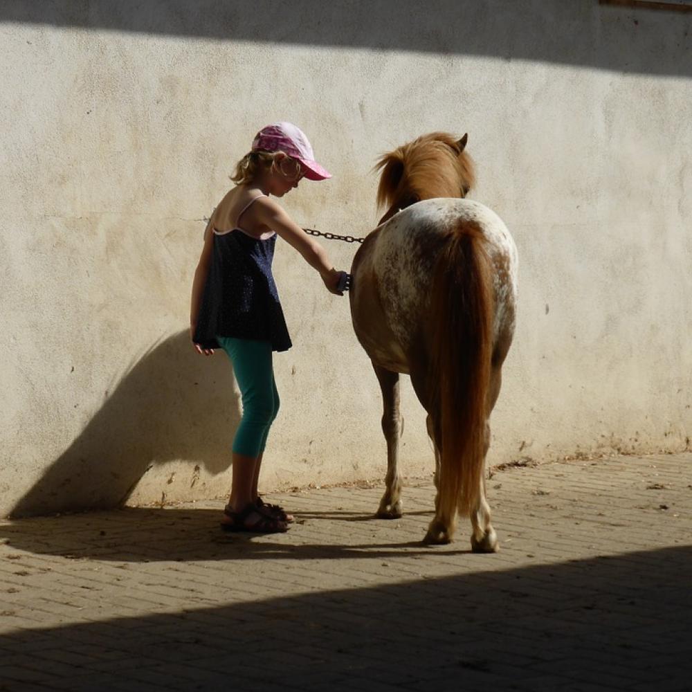 Girl Holidays Ride Horse Riding Pony Fun Play Girl Holidays Ride Horse Riding Pony Fun Play