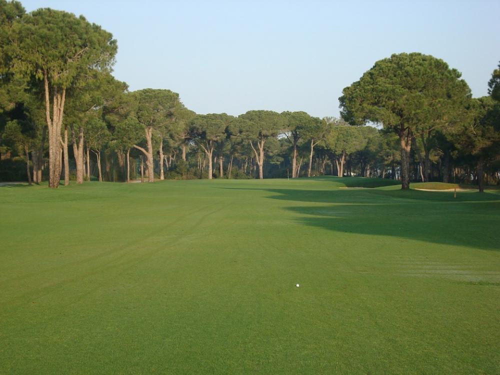 Golf Course Golf Meadow Sport Rush Trees Green Golf Course Golf Meadow Sport Rush Trees Green
