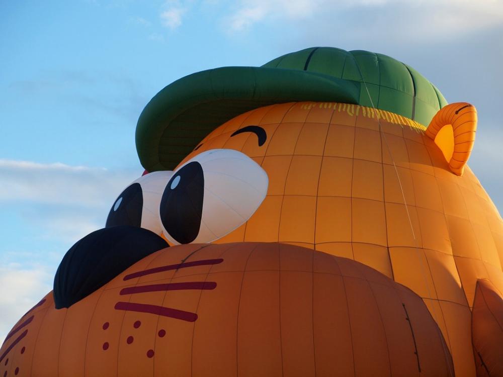 Gopher Balloon Hot Air Balloon Funny Blue Sky Sky Gopher Balloon Hot Air Balloon Funny Blue Sky Sky