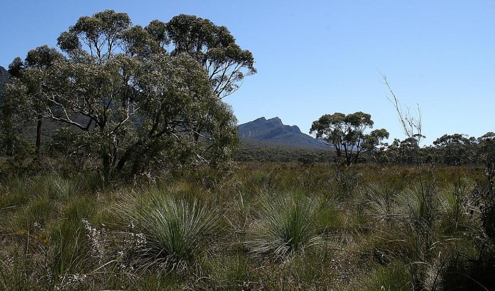 Grampians Australia Bush Nature Rock Grampians Australia Bush Nature Rock