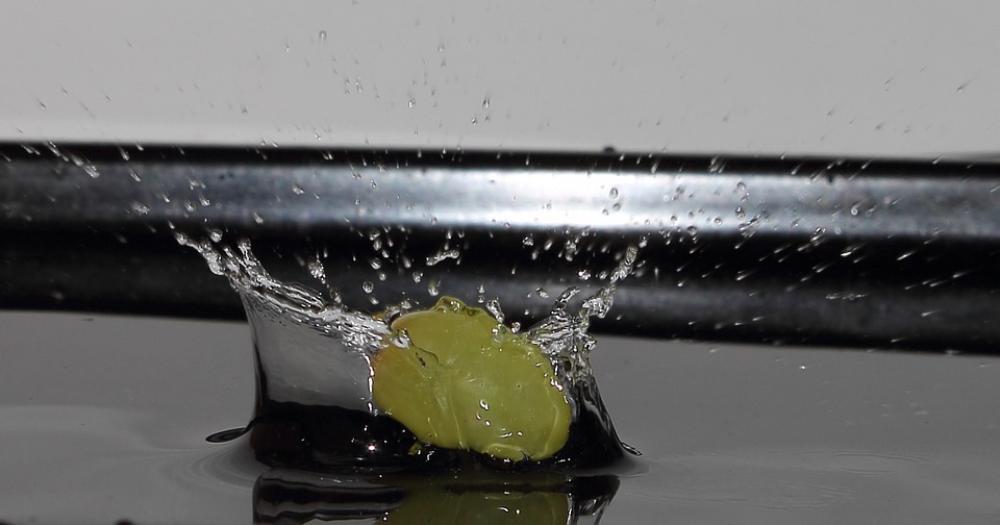 Grape Water Drip Fruit Fresh Grape Water Drip Fruit Fresh