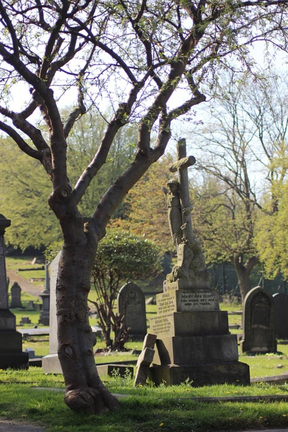 Graveyard Tree Cemetery Gravestones Winter Graveyard Tree Cemetery Gravestones Winter