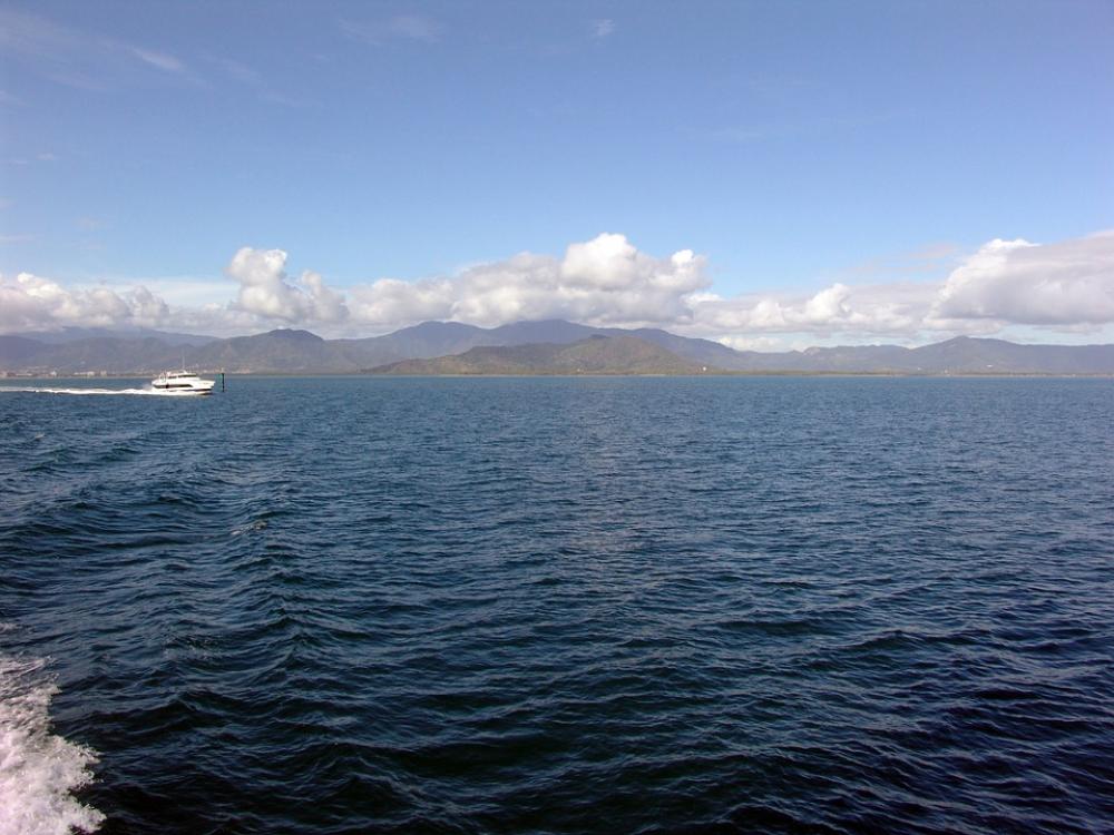 Great Barrier Reef Diving Coral Ocean Pacific Great Barrier Reef Diving Coral Ocean Pacific
