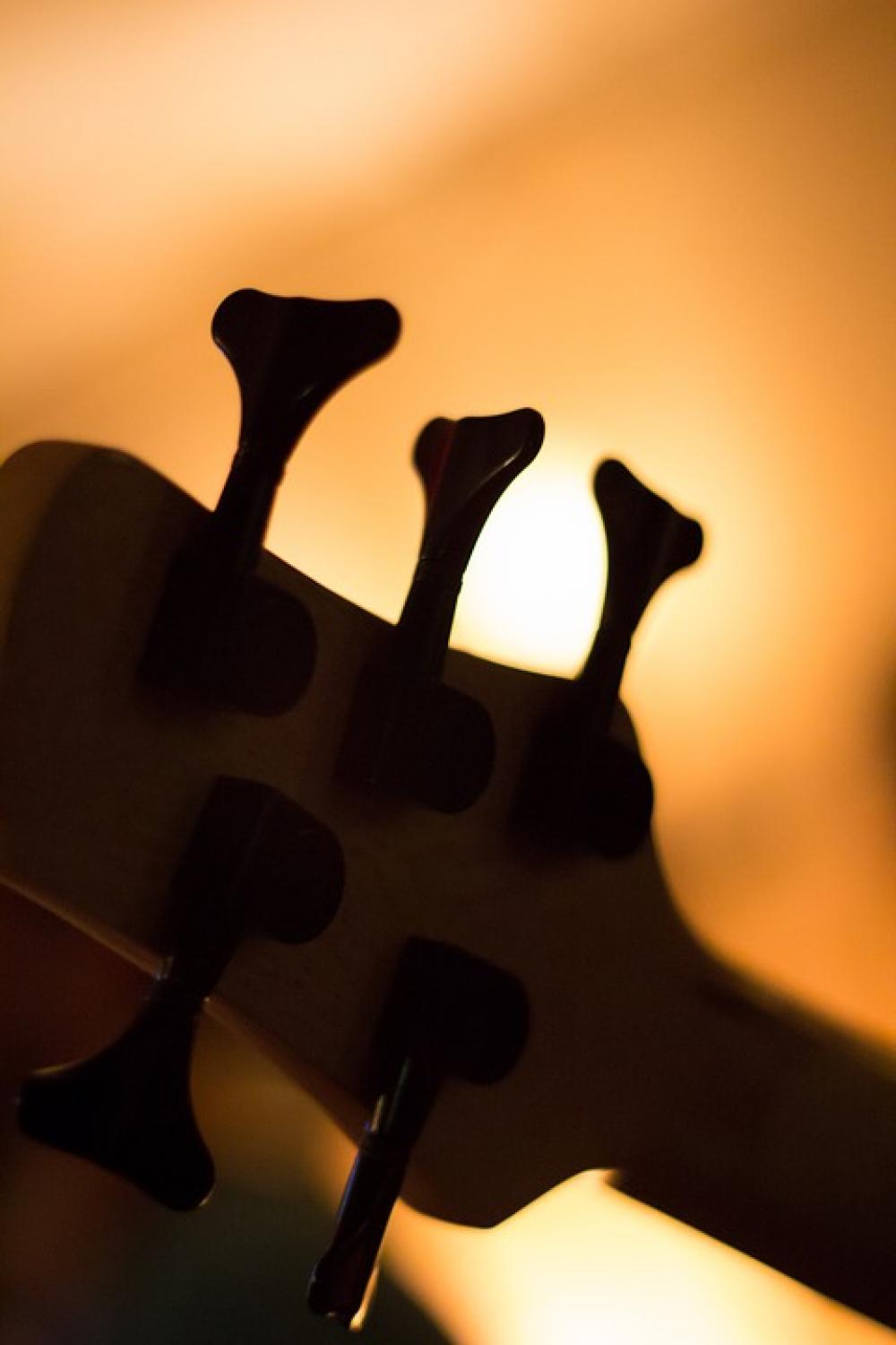 Guitar Music Musician Guitar Music Musician