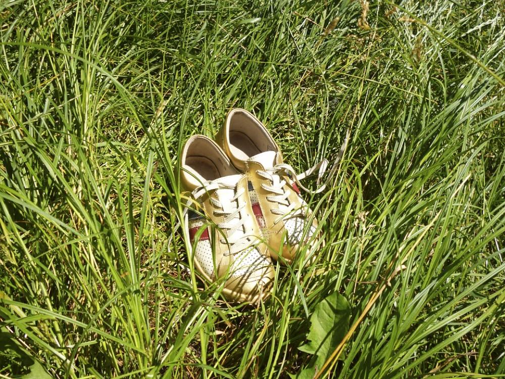 Gym Shoes Grass Summer Holiday Gym Shoes Grass Summer Holiday