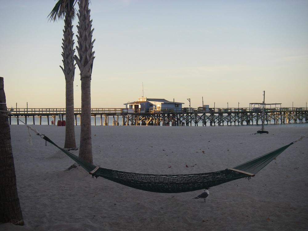 Hammock Beach Florida Gulf Coast Pier Palm Trees Hammock Beach Florida Gulf Coast Pier Palm Trees