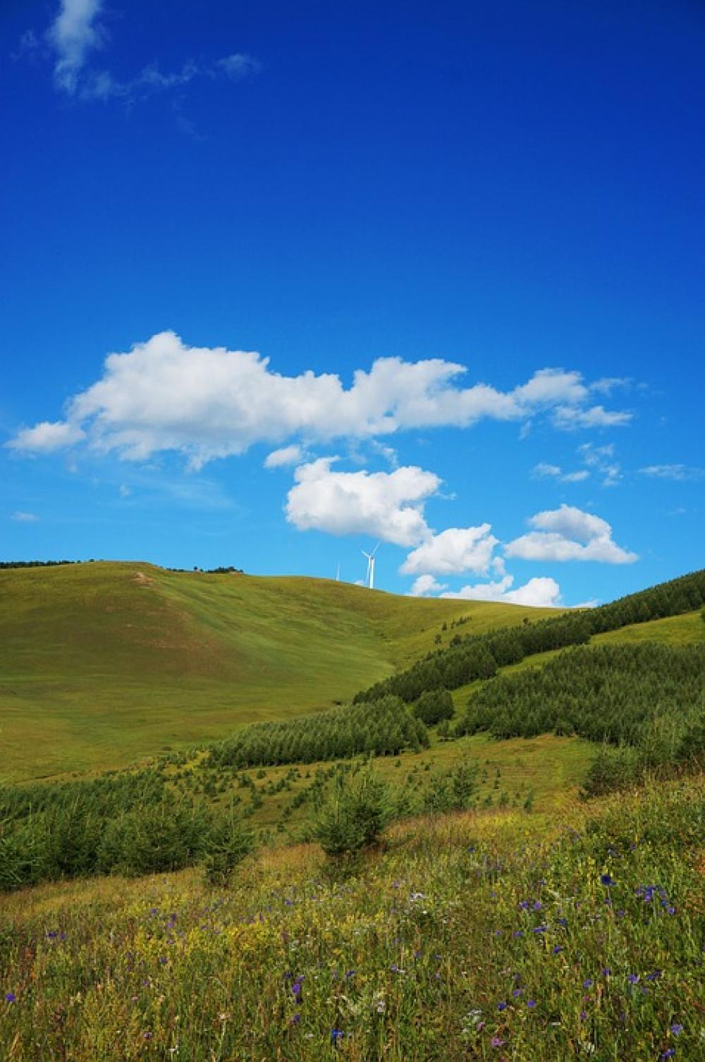 Hebei Fengning Bashang Grassland Blue Sky White Cloud Hebei Fengning Bashang Grassland Blue Sky White Cloud