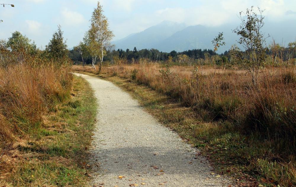Heide Autumn Away Promenade Path Nature Trail Heide Autumn Away Promenade Path Nature Trail