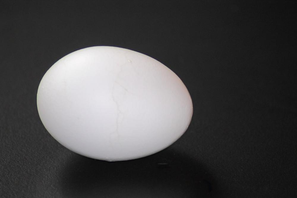 Hen'S Egg Boiled Egg Egg Eat Food Hartgekocht Hen'S Egg Boiled Egg Egg Eat Food Hartgekocht