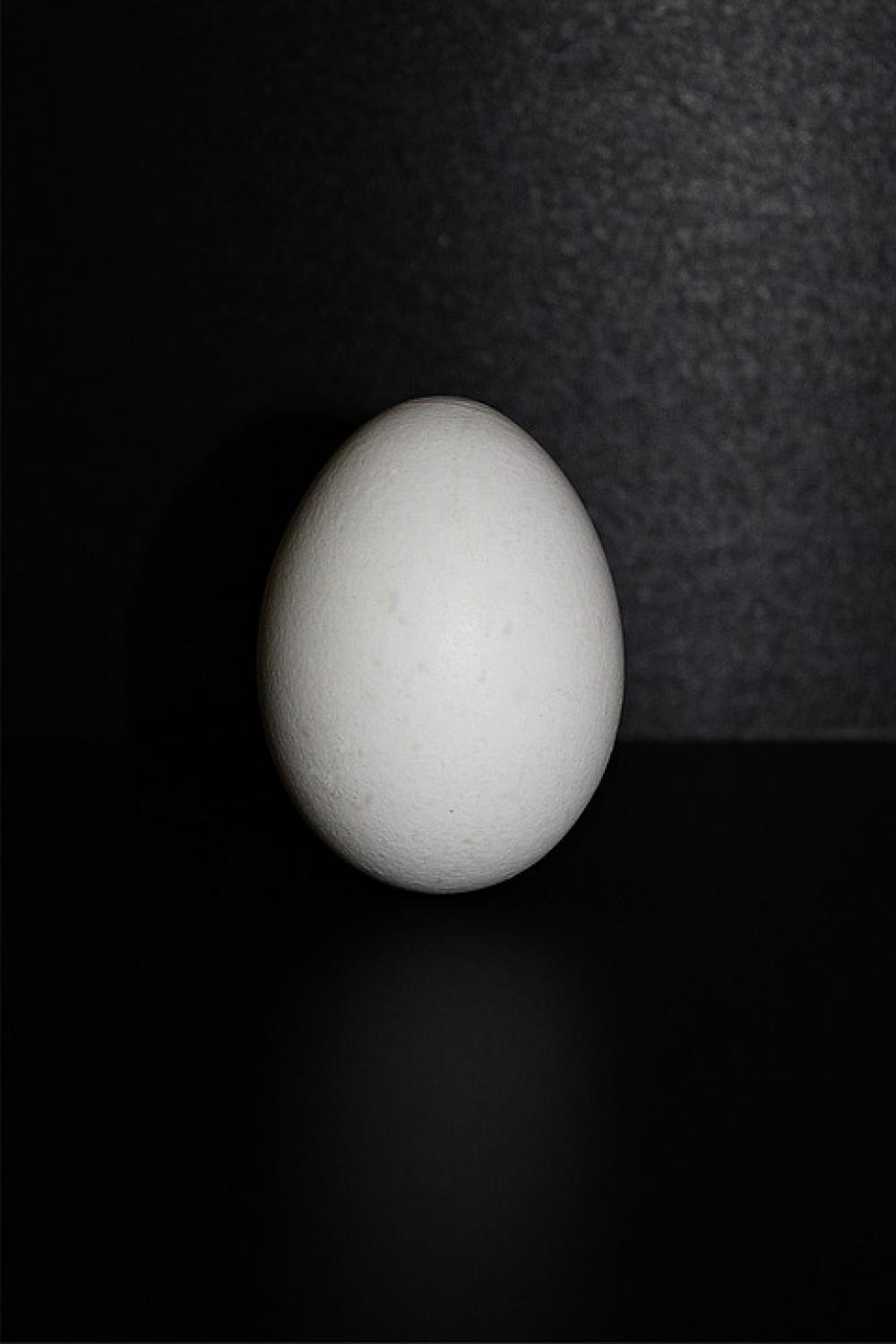 Hen'S Egg Egg Food Oval Chicken White White Eggs Hen'S Egg Egg Food Oval Chicken White White Eggs