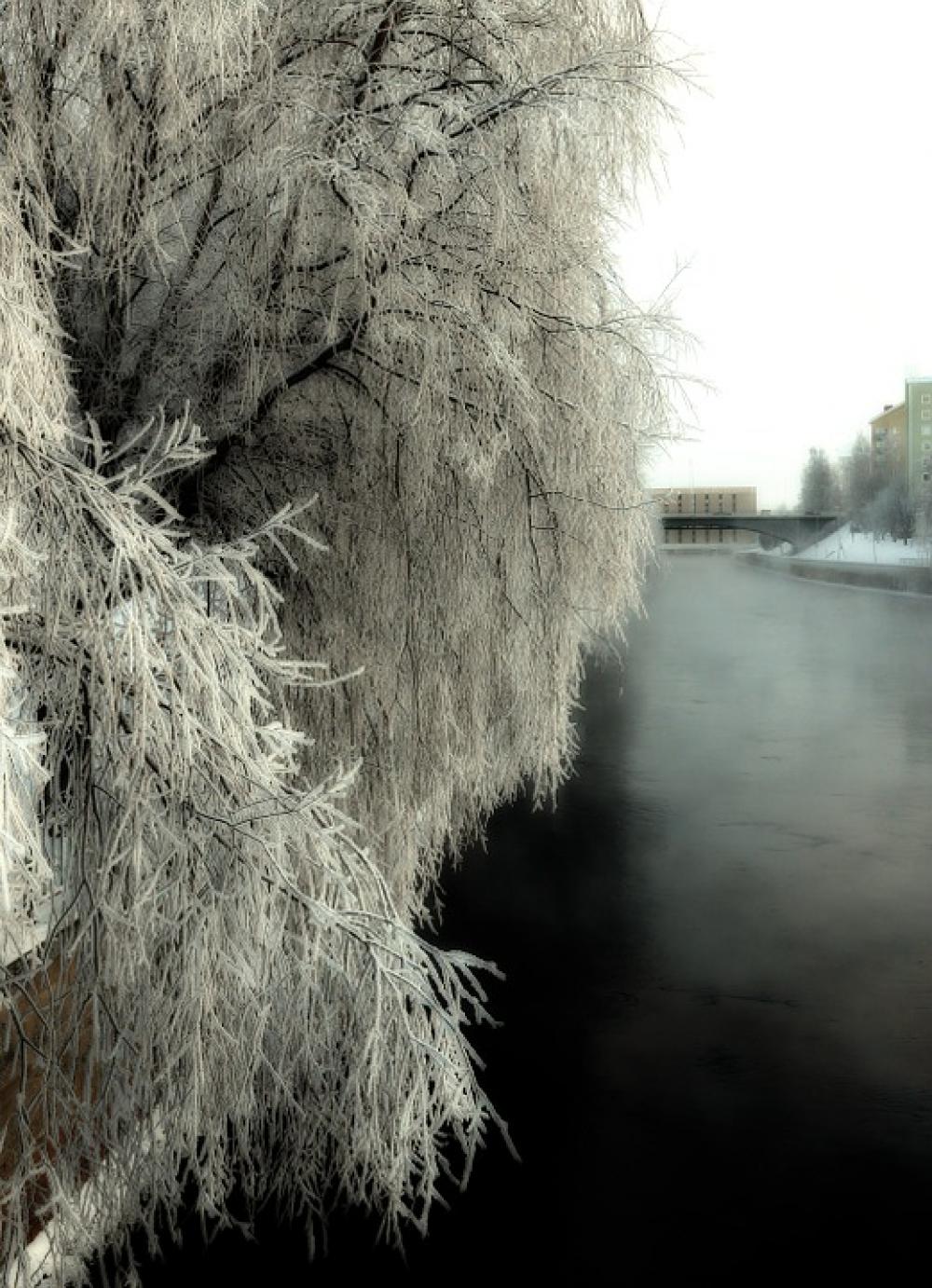 Hoarfrost River Water Winter Snow Ice Scenic Hoarfrost River Water Winter Snow Ice Scenic