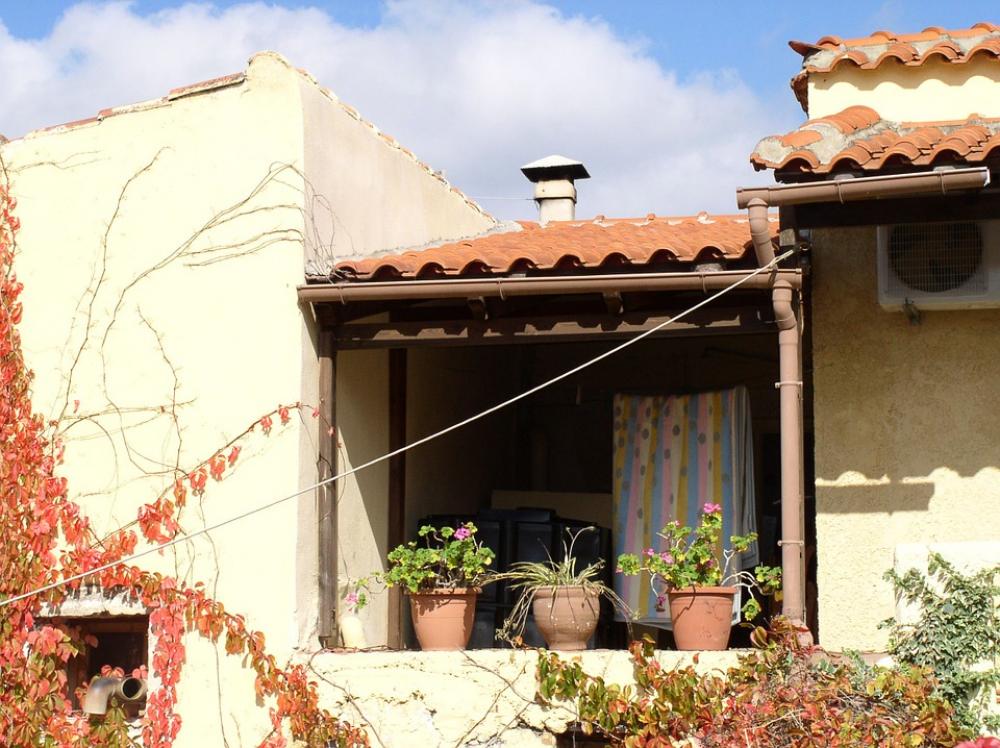 Vacations Crete South Flower Flower Pots Summer Vacations Crete South Flower Flower Pots Summer