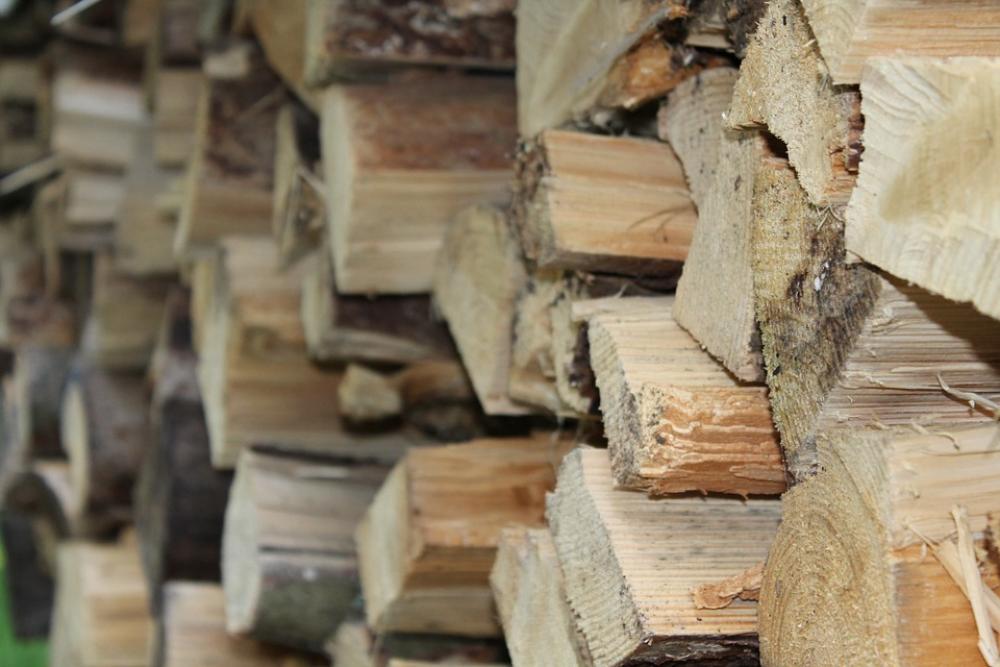 Holzstapel Wood Firewood Growing Stock Holzstapel Wood Firewood Growing Stock