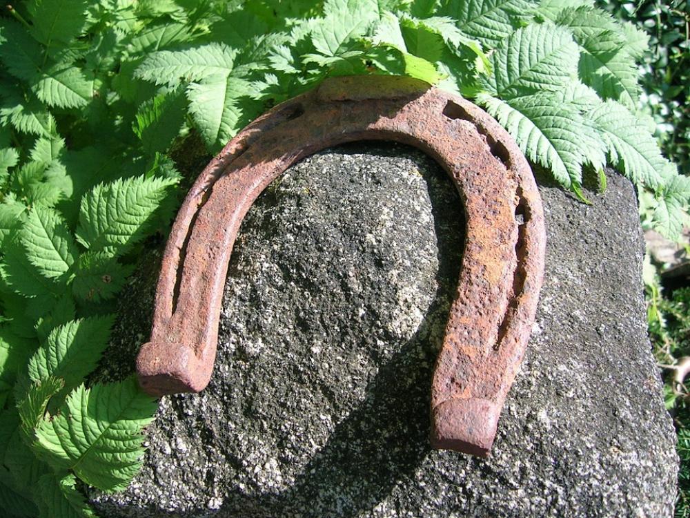 Horseshoe Luck Garden Lucky Charm Leaves Nature Horseshoe Luck Garden Lucky Charm Leaves Nature