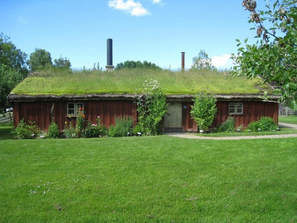 House Lawn Flowers Grass Roofs Sky Cloud Sweden House Lawn Flowers Grass Roofs Sky Cloud Sweden