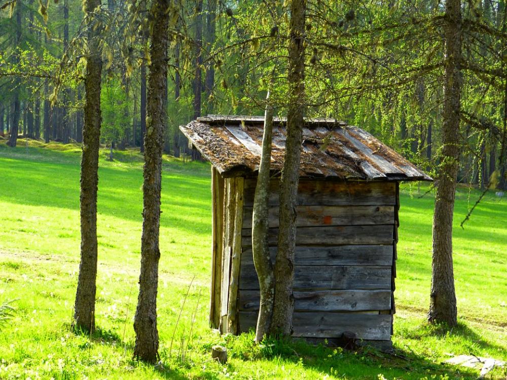 Hut Old Hunter Was Wood Forest Hut Old Hunter Was Wood Forest