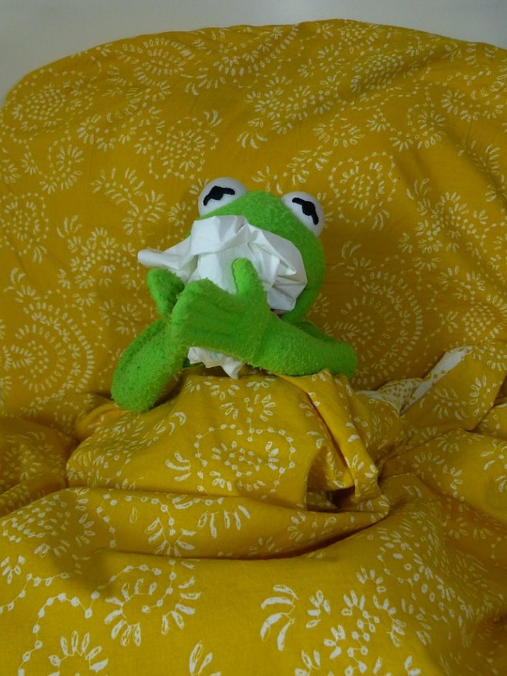Ill Cold Sniff Handkerchief Kermit Frog Ill Cold Sniff Handkerchief Kermit Frog