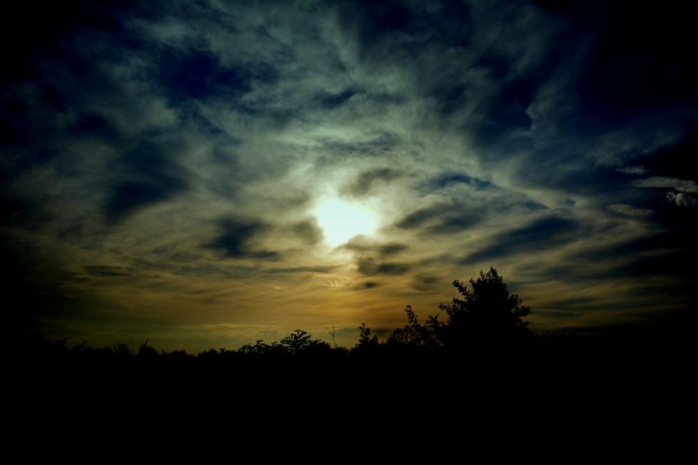 In The Evening Sunset Cloud Sky Trees In The Evening Sunset Cloud Sky Trees