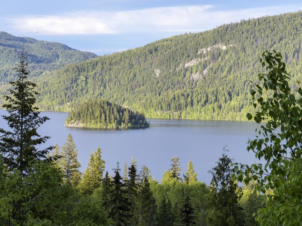 Island Canim Lake British Columbia Canada Scenery Island Canim Lake British Columbia Canada Scenery