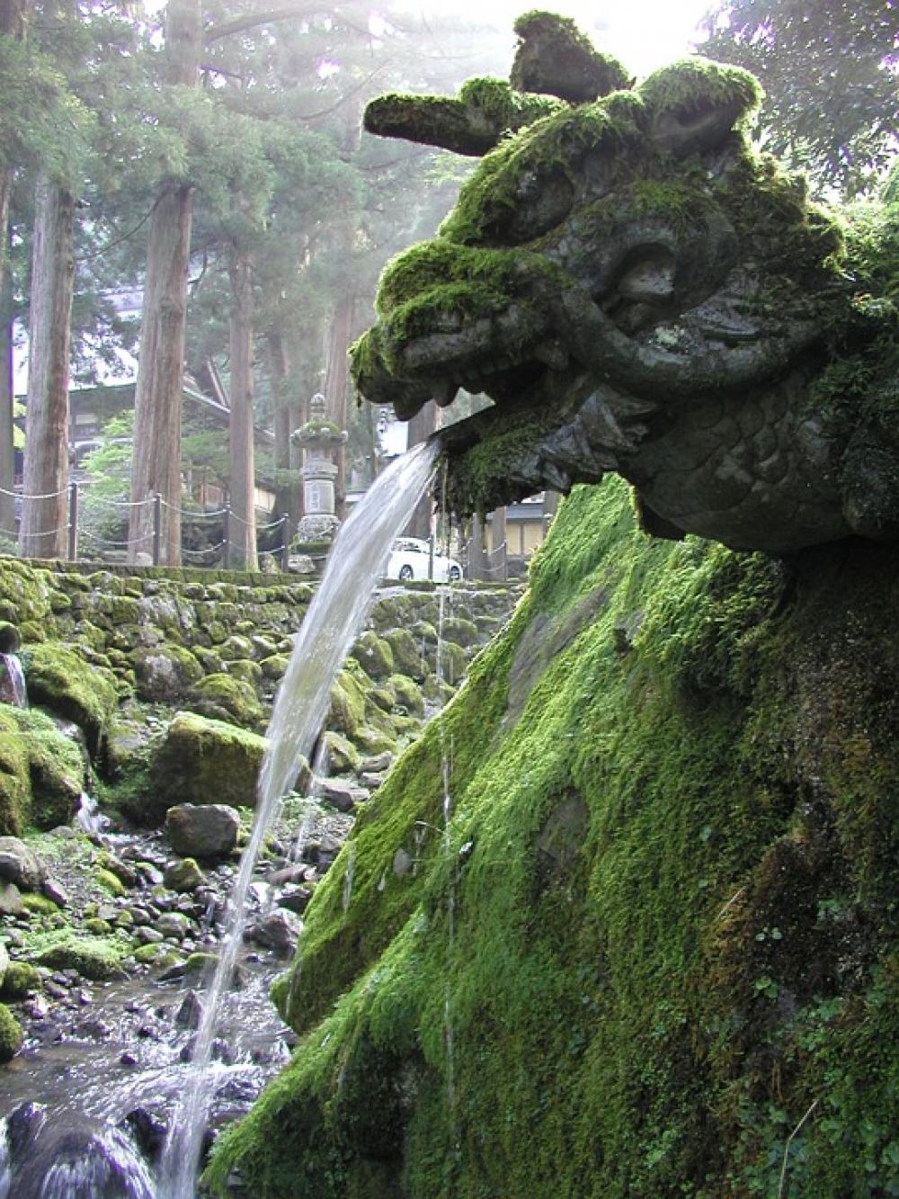 Japan Zen Dragon Sculpture Fountain Moss Eiheiji Japan Zen Dragon Sculpture Fountain Moss Eiheiji