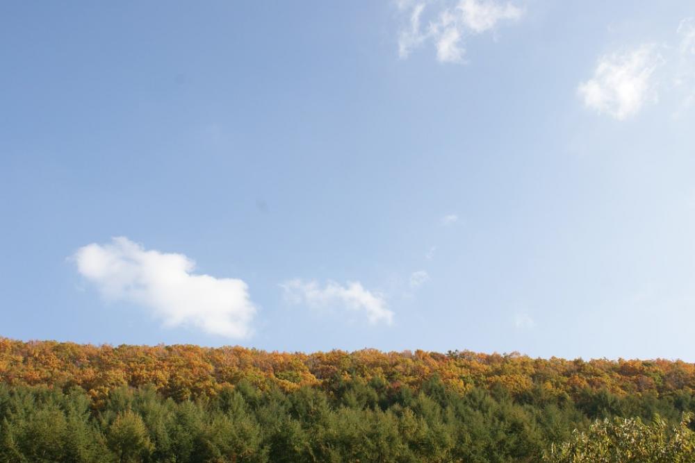 Jeju Island Olle Gill Jeju Sky Jeju Island Olle Gill Jeju Sky