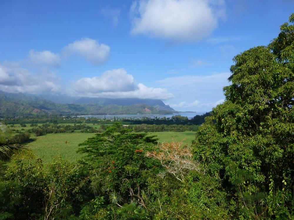 Kauai Hanalei Hawaii Farm Land Countryside Kauai Hanalei Hawaii Farm Land Countryside